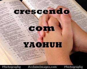 programa crescendo com yáohushua